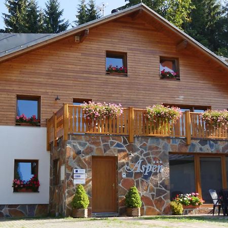 Pension Aspen Harrachov Εξωτερικό φωτογραφία