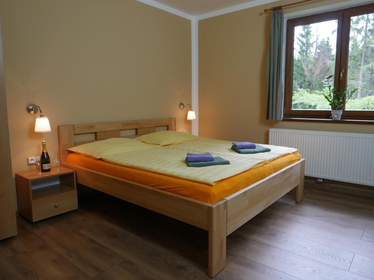 Pension Aspen Harrachov Εξωτερικό φωτογραφία