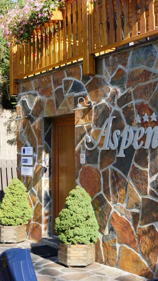 Pension Aspen Harrachov Εξωτερικό φωτογραφία