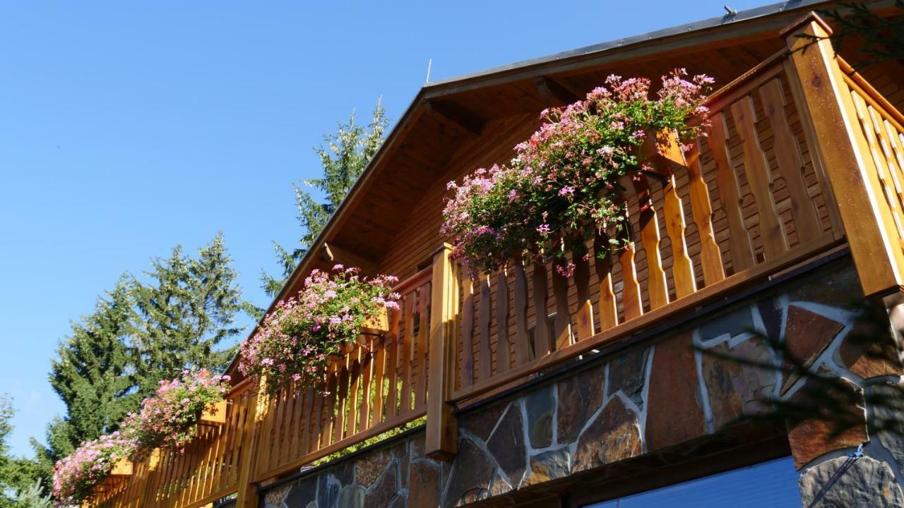 Pension Aspen Harrachov Εξωτερικό φωτογραφία