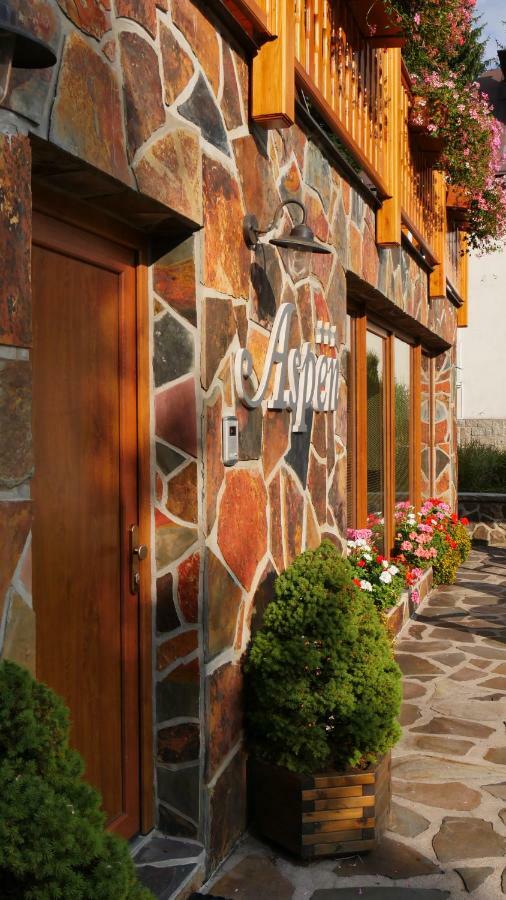 Pension Aspen Harrachov Εξωτερικό φωτογραφία